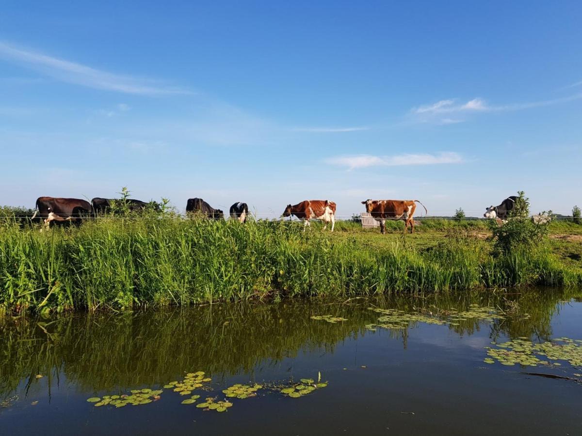 B & B De Tocht Berkhout ภายนอก รูปภาพ